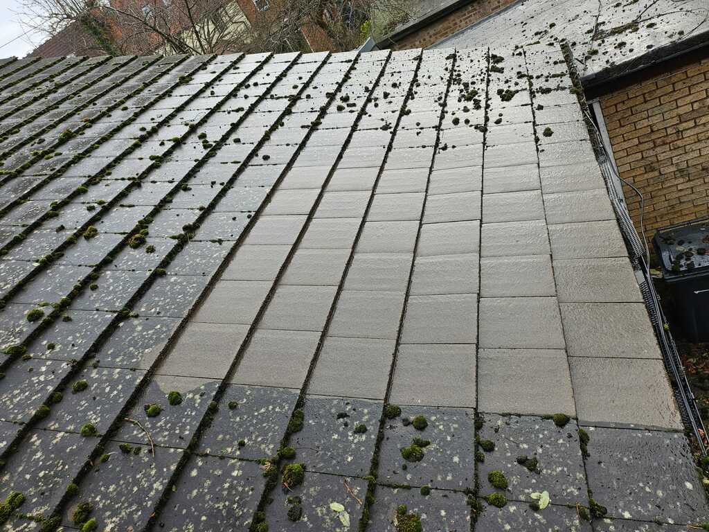 Roof cleaning